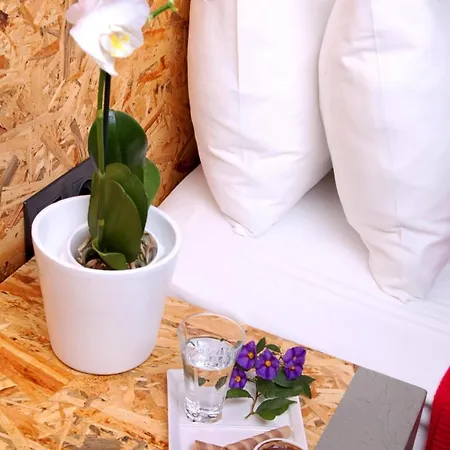 Pitahaya Mutfak * Golturkbuku