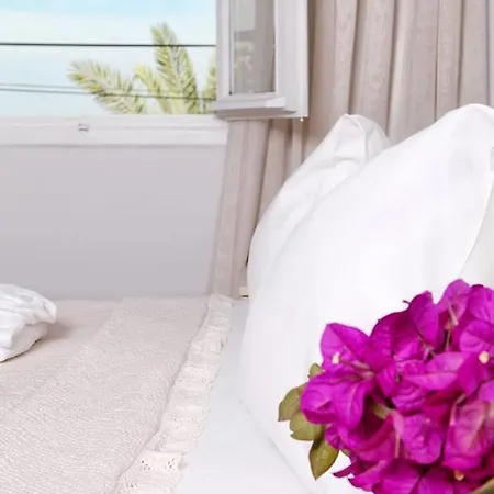 Hotel Pitahaya Mutfak